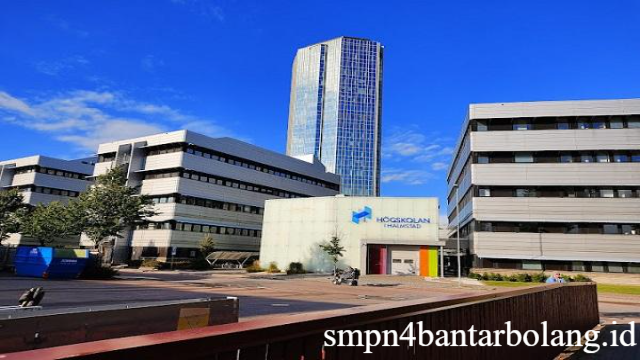 Halmstad University: Pusat Pendidikan Inovatif dan Multidisipliner